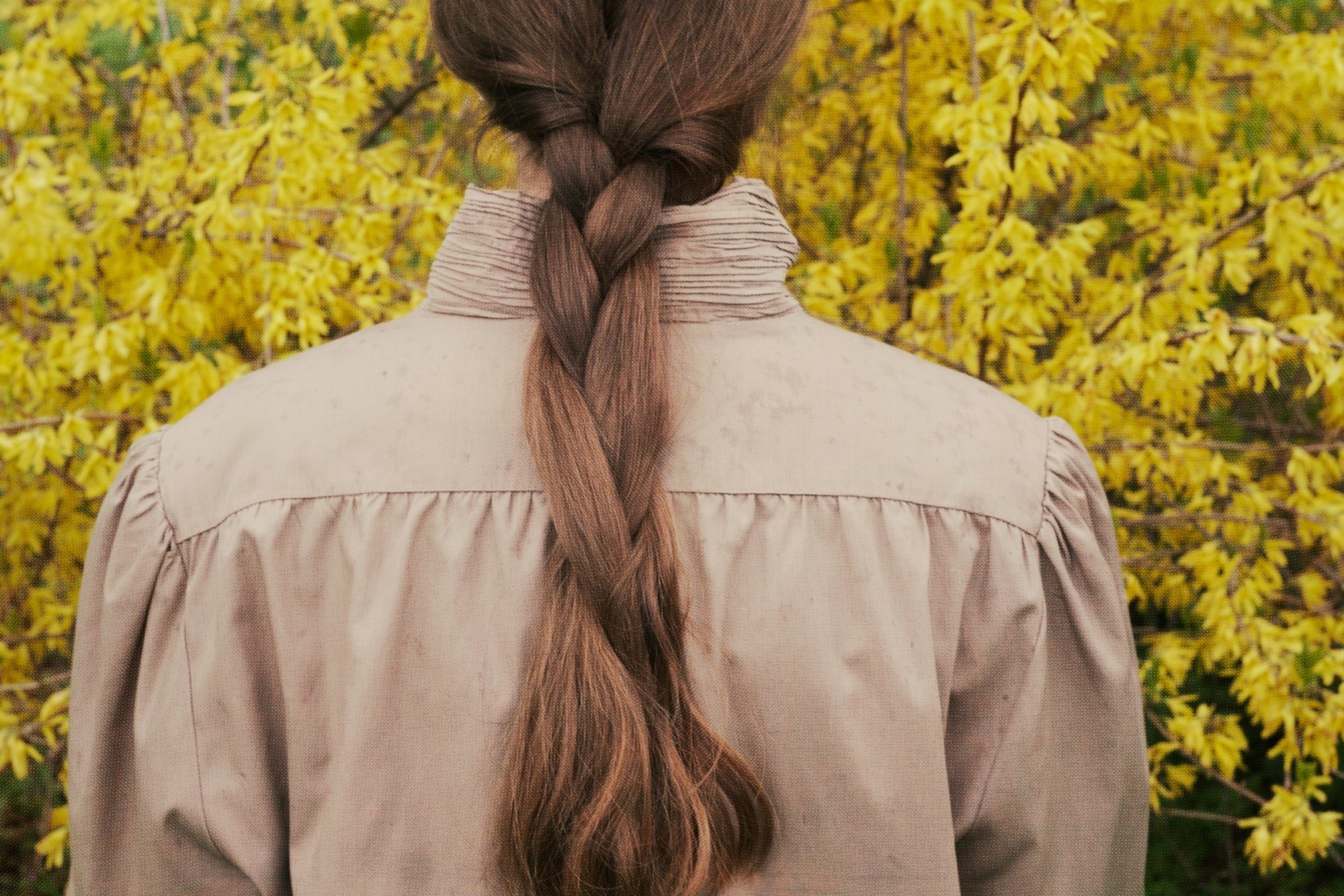 Una ragazza vista di spalle, con una lunga treccia castana, davanti a un cespuglio di fiori gialli
