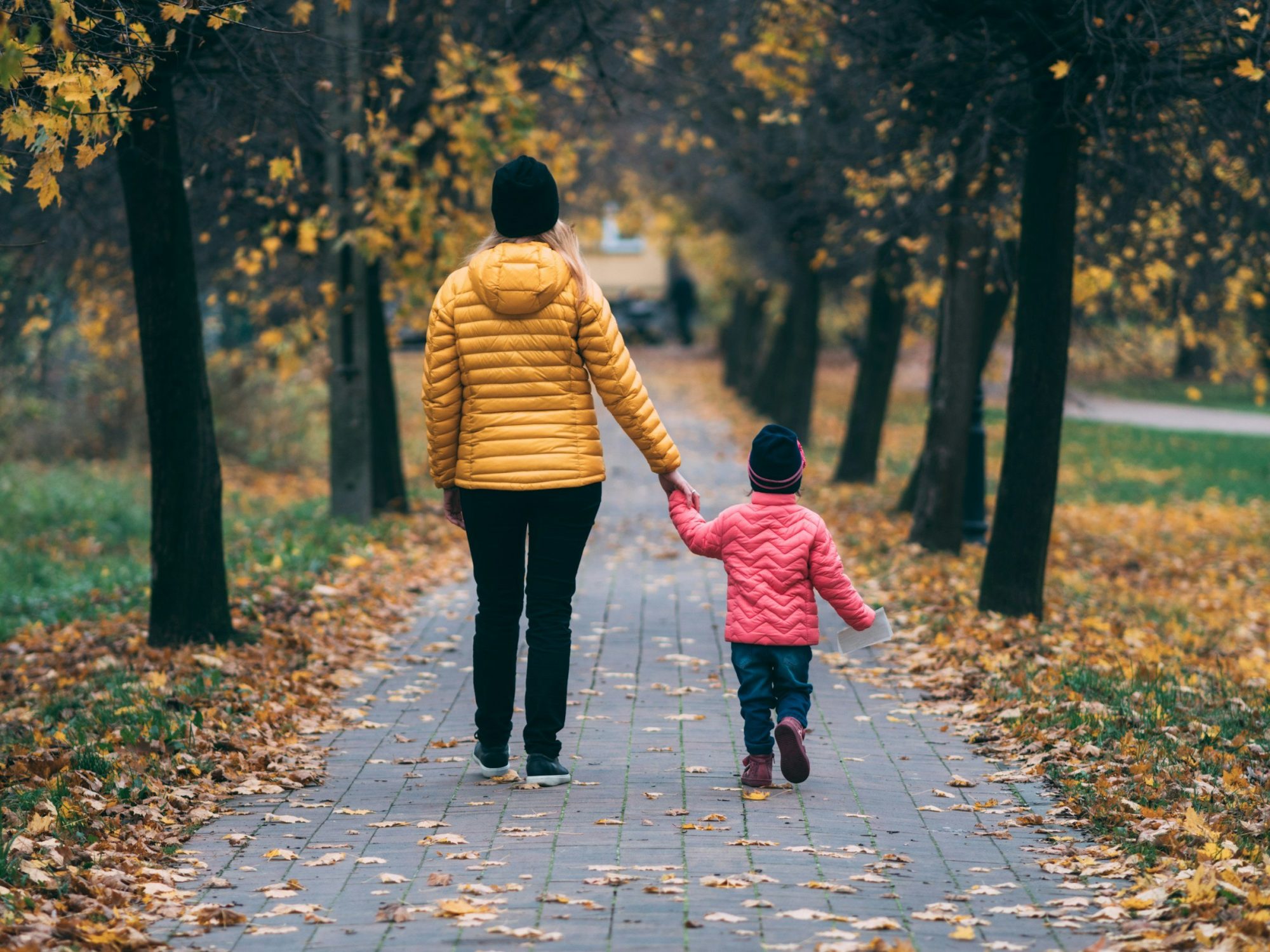 Un adulto e un bambino, visti di spalle, camminano mano nella mano su un viale alberato in autunno.