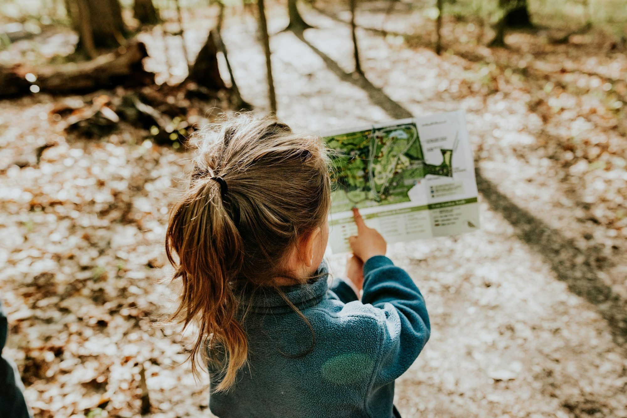 Una bambina vista di spalle osserva una mappa in un bosco autunnale, tra foglie secche.