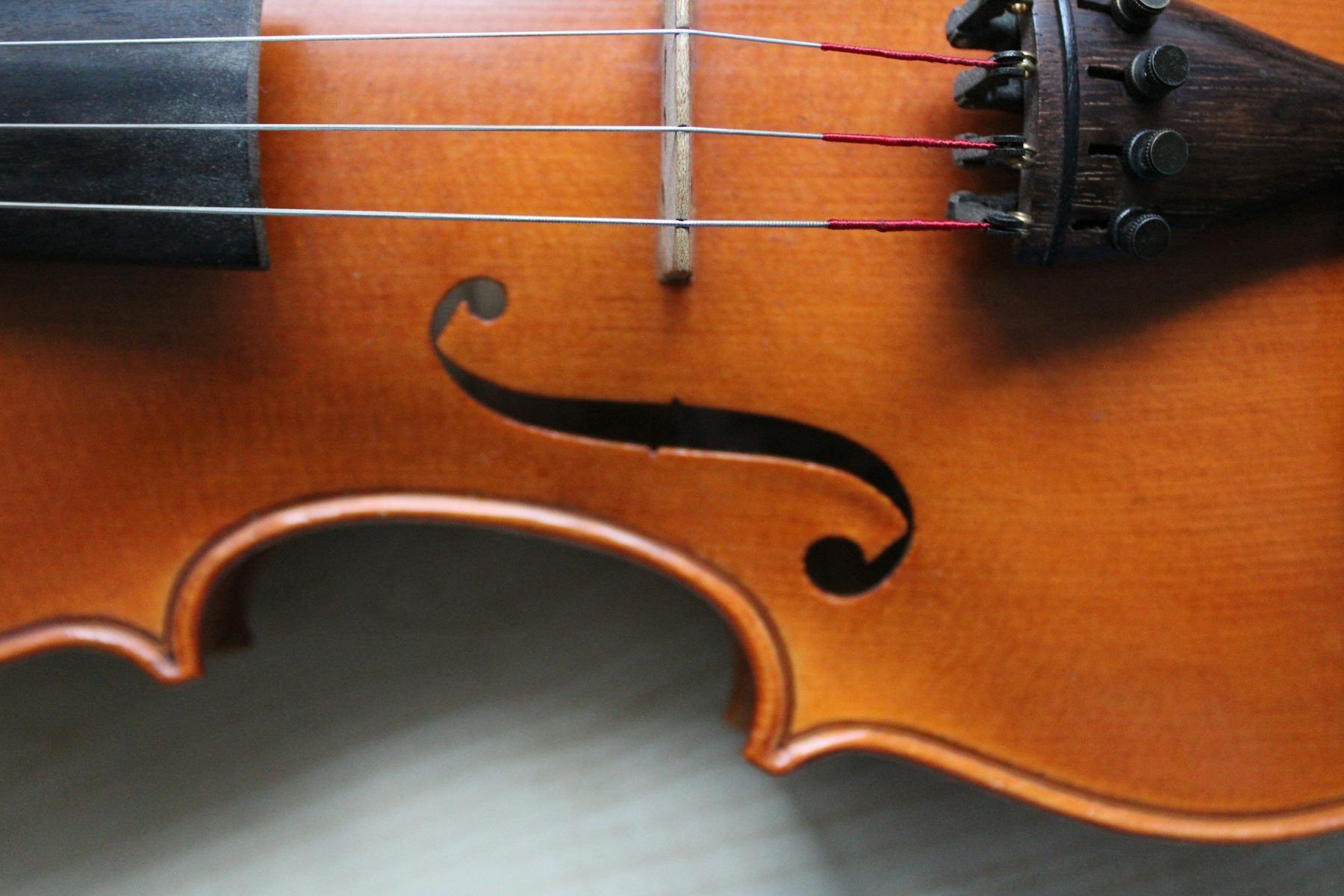 Dettaglio della cassa di un violino in legno con le corde e il ponticello