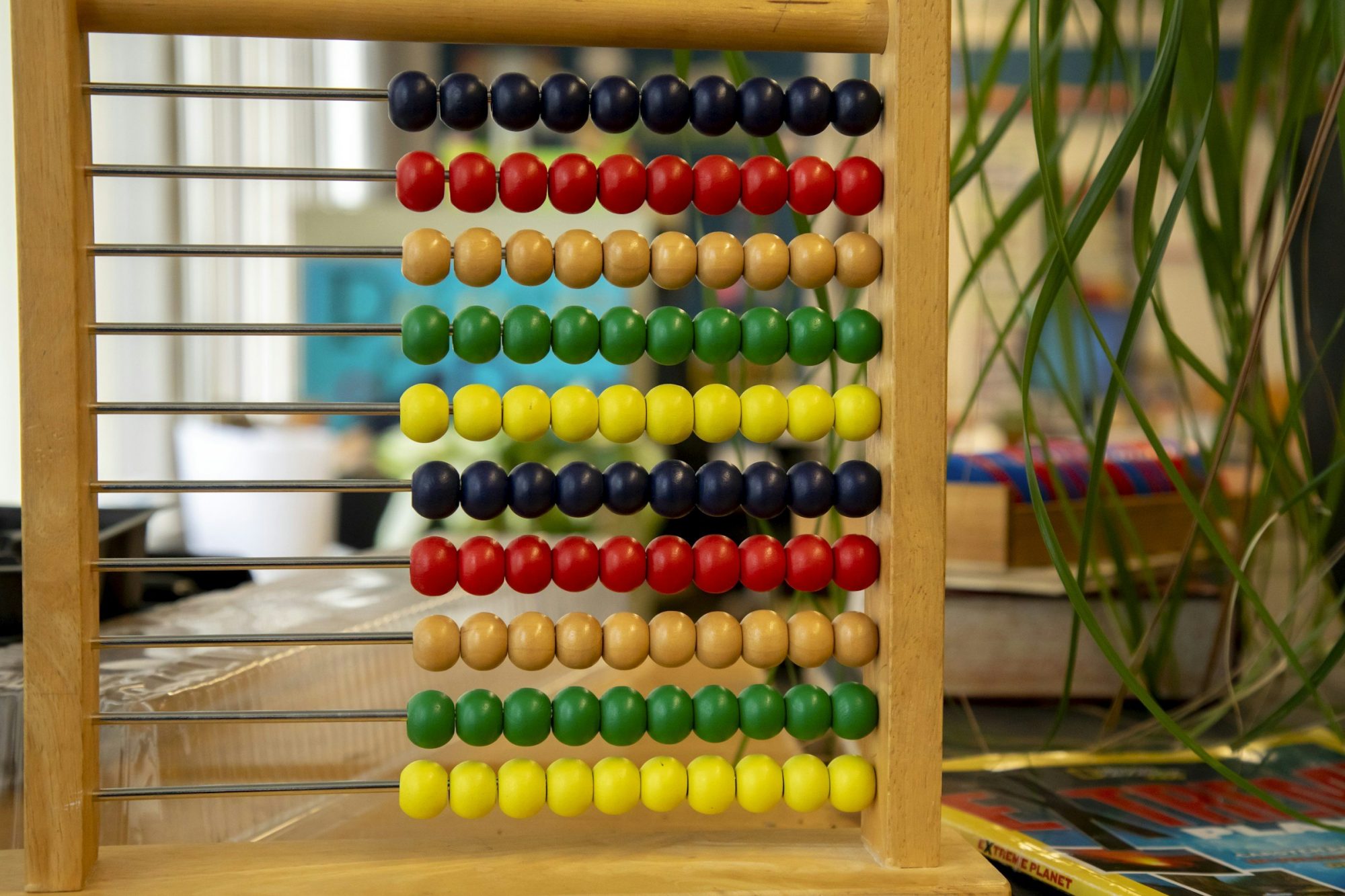 Un pallottoliere di legno con le palline colorate, accanto a una pianta.